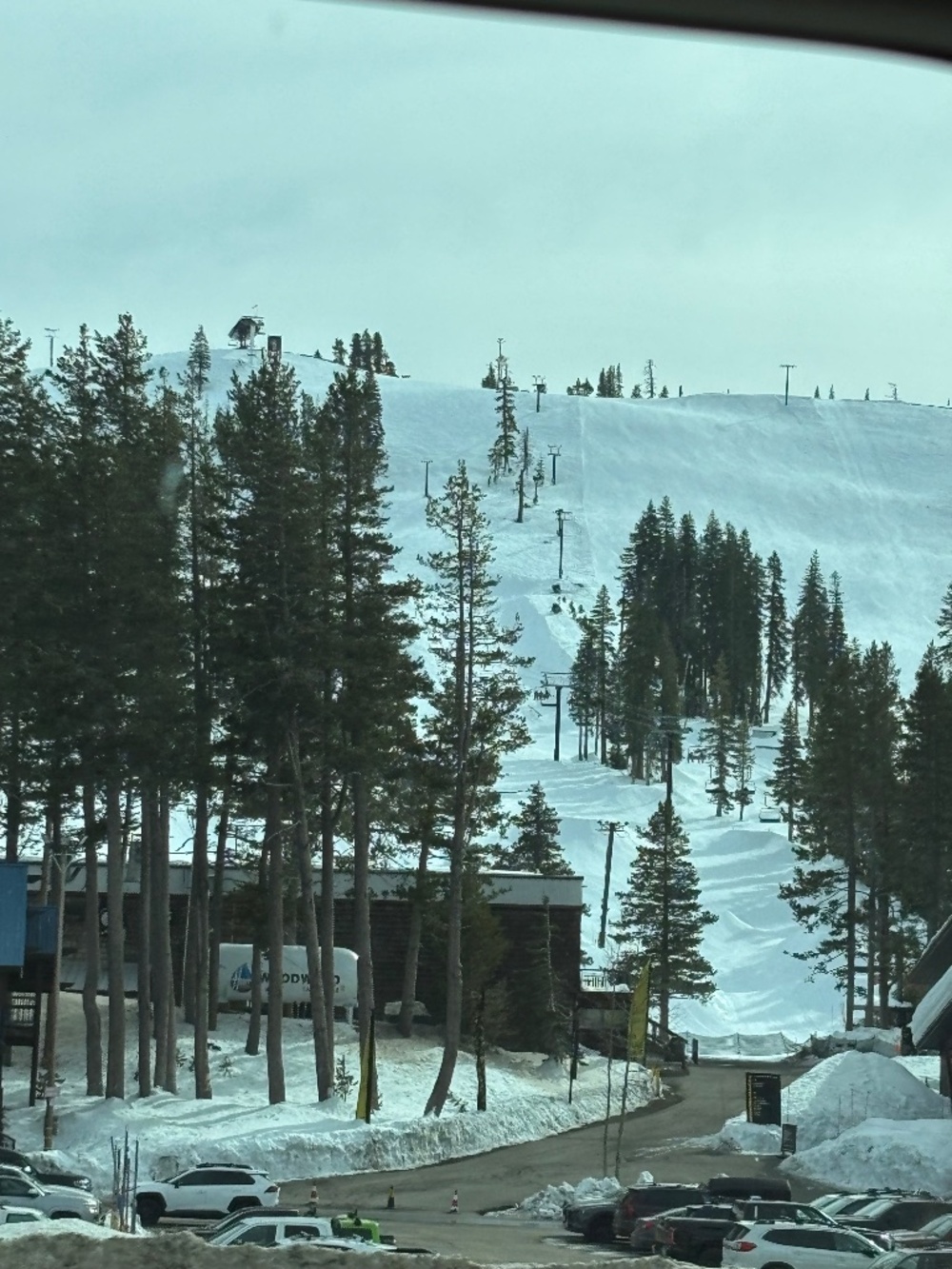 Meet your Posher, Ilea